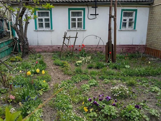 Продам половину будинку Коростишів