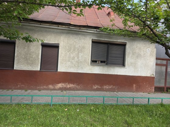 Будинок на центральній дорозі вул Миру Мукачево