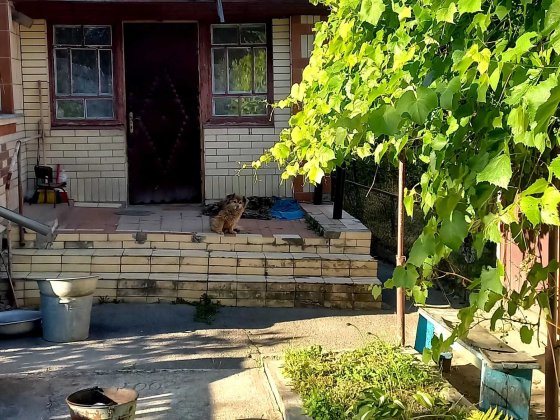 Продаж будинк біля вулиці Богуна, біля річки, гарне розташування. Звягель
