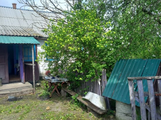 Продам будинок у селі Звягель