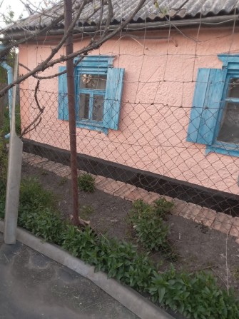 Продам саманний будинок на фундаменті  вкритий шубою +25 соток + річка + виноградник 60 сортів! - фото 1