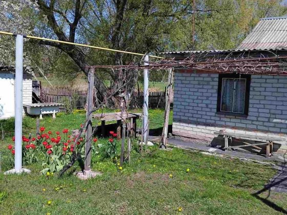 Продам дом в Солоницевке (169223) Солоницевка