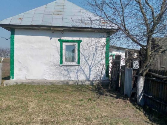 Продам будинок с. Остроушки Шостка