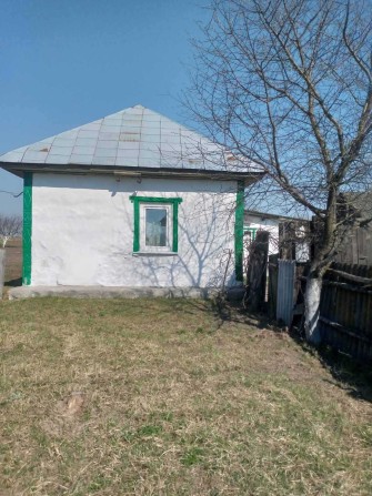 Продам будинок с. Остроушки - фото 1