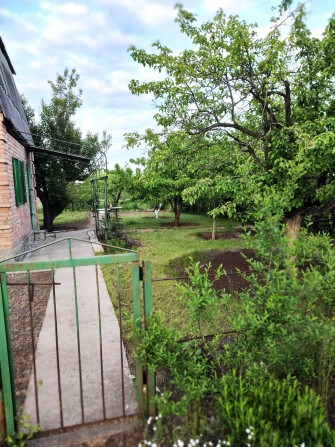 Продаємо дачу, с/т "Славутич", 12 км від Нікополя - фото 1