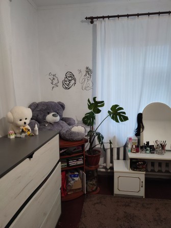 Продам будинок з ділянкою - фото 1