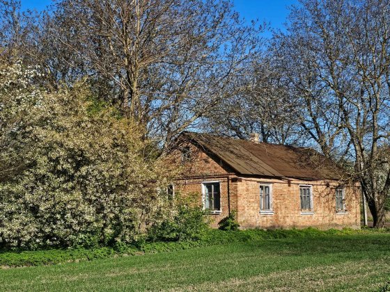 Продам будинок в с Сільце (центр) 7 км до м Горохів Горохів