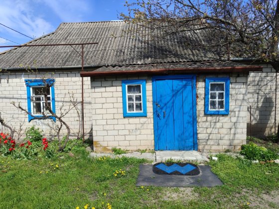 Продам будинок в с. Орлівщина Орловщина