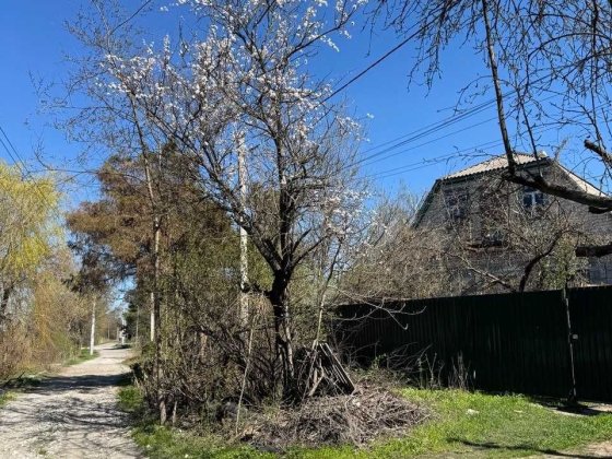 Будинок у лісі Пісчанка Орлівщина Орловщина