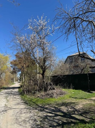 Будинок у лісі Пісчанка Орлівщина - фото 1