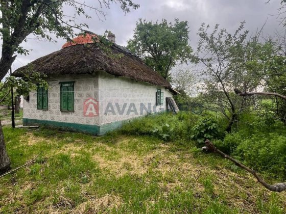 Будинок. Єлизаветівка. Ділянка 20 соток.