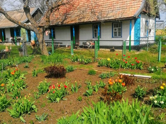 Продается хата в селе Ново-Анновка Терноватий Кут