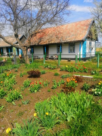Продается хата в селе Ново-Анновка - фото 1