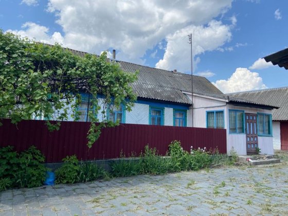 Будинок в селі Пилиповичі Радомишльського району Радомишль