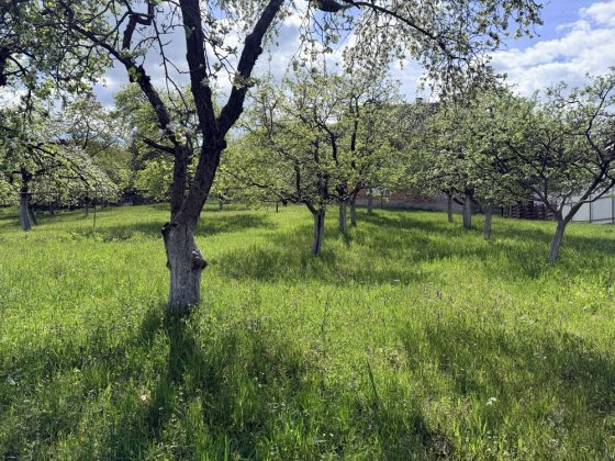 Будинок у Велятині біля лісу 30 соток Велятино