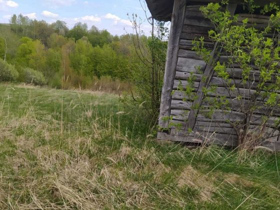Дерев'яний  будинок на розбір. Косов