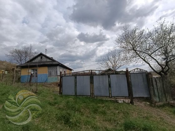 Будинок в селі Палагичі Тлумач