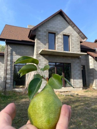 Продаж - дуплекс 145 кв.м, ділянка 6.23 сот. Гореничи. Без комісії - фото 1