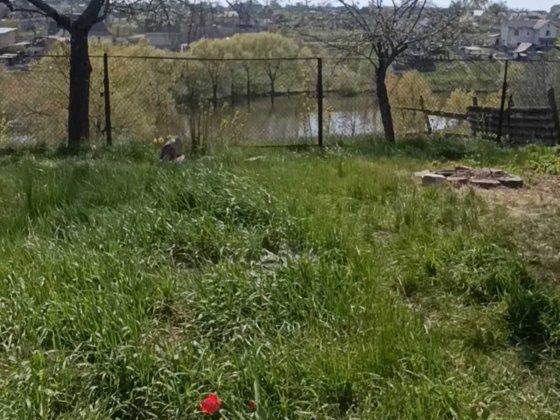 Будинок з власним берегом у м. Сквира — ідеальне місце для життя та відпочинку! Сквира