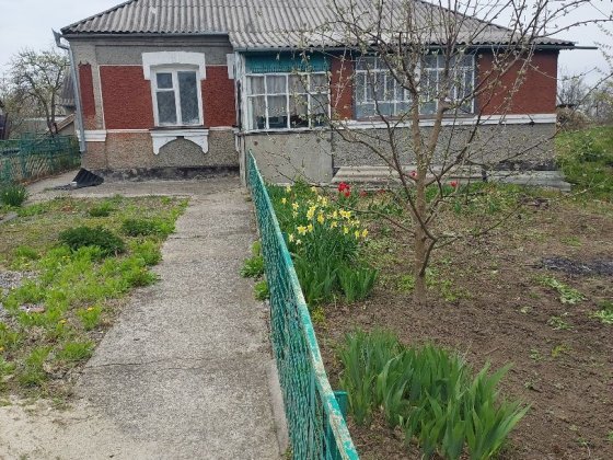 Продажа будинку місто Сквира Сквира