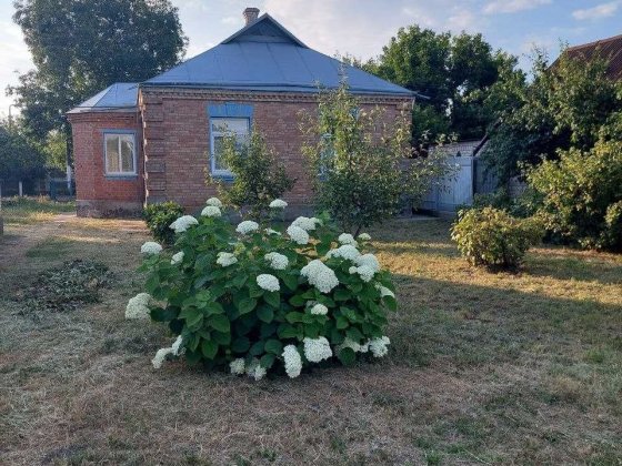 Продам будинок від власника Узин
