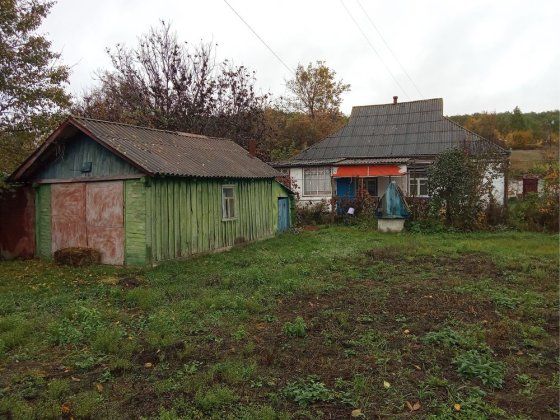 Дом в селе Лисовичи
