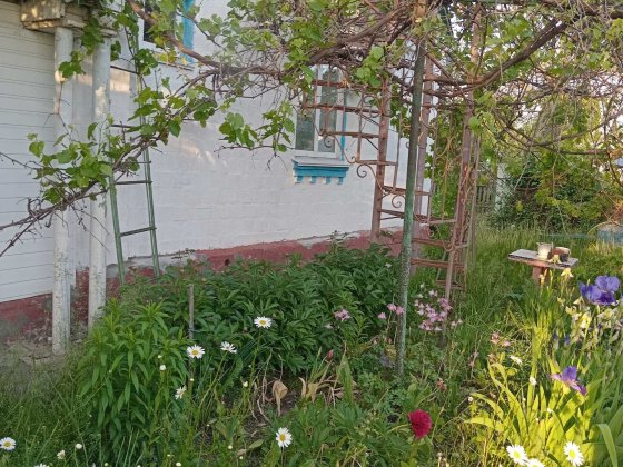 Продам будинок в Баришівці в районі вулиці Володимира Баришівка