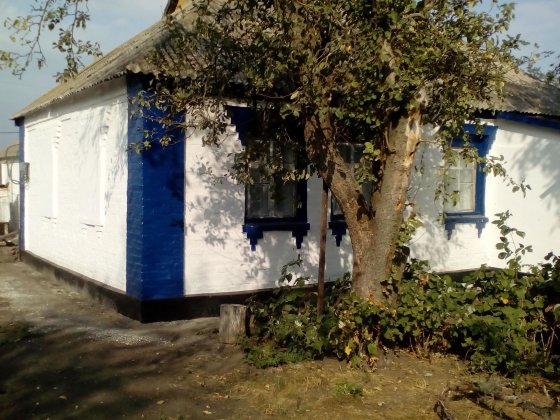 Продам будинок з дiючим бiзнесом. Рокитне