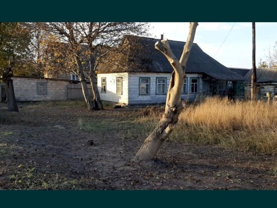 Продам будинок приватизоааний,та участок 25соток Макаров