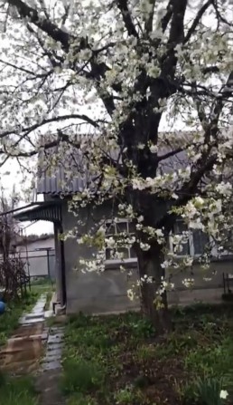 Продам капітальну дачу біля лісу та озера, Глеваха-3, Лінія 12 - фото 1