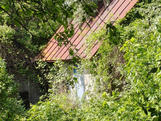 Домік (времянка) з ділянкою