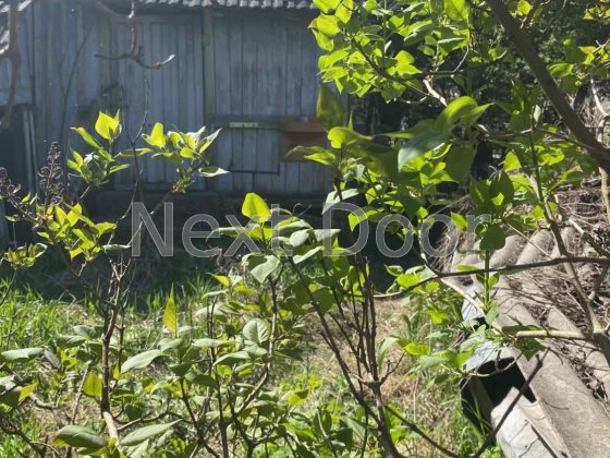 с.Гаврилівка. Продам старий будинок Гаврилівка