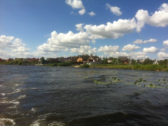 Кийлів.Бориспільський.Будинок під лісом на березі Дніпра.Вихід до води. Кийлів