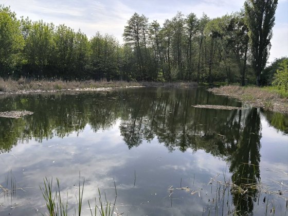 Будиночок для відпочинку на лоні природи.Неподалік від Києва. Осыково