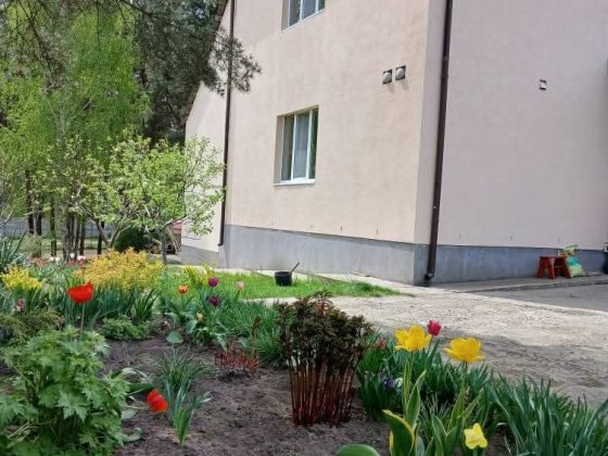 Будинок серед сосен, держ.програми так Осыково