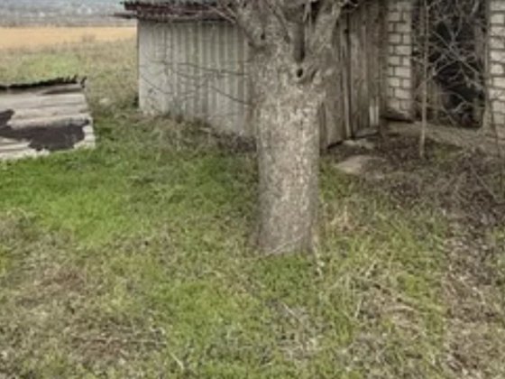 Продам дом с участком Долинская