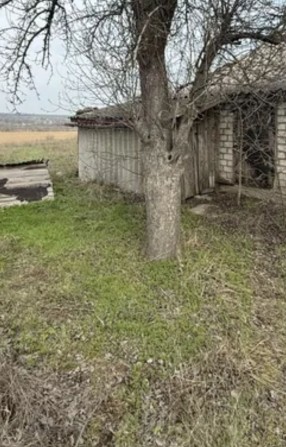 Продам дом с участком - фото 1