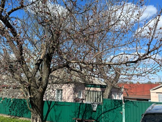 Продам будинок Новоукраїнка Новоукраинка