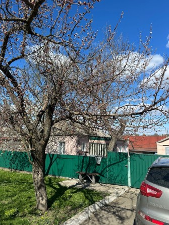 Продам будинок Новоукраїнка - фото 1