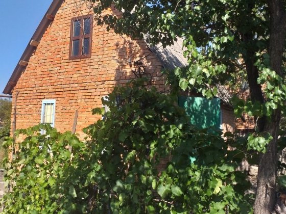 Дача в садовому товаристві ДСК Черняхівка