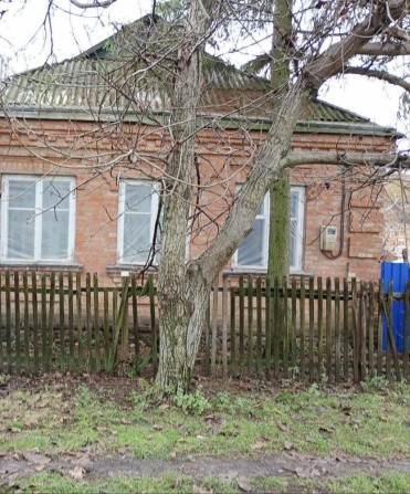 Продаж будинку в м. Новомиргород, вул. Софіівська, 41 - фото 1