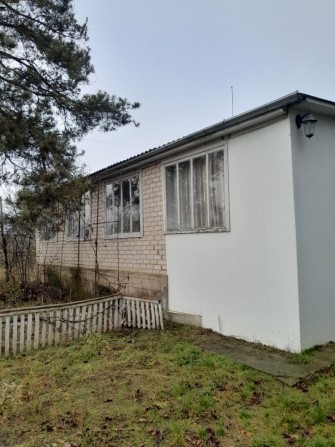 Продам  будинок в лісі. - фото 1