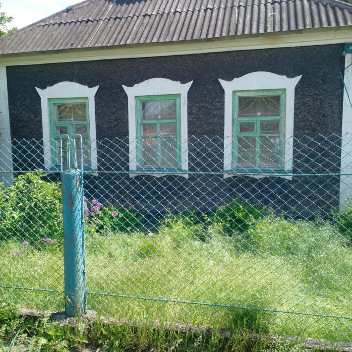 Продам будинок  в центрі Дружби - фото 1