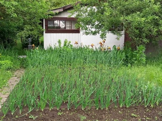 Продається дача в місті (р-н Хоткевича) Івано-Франківськ