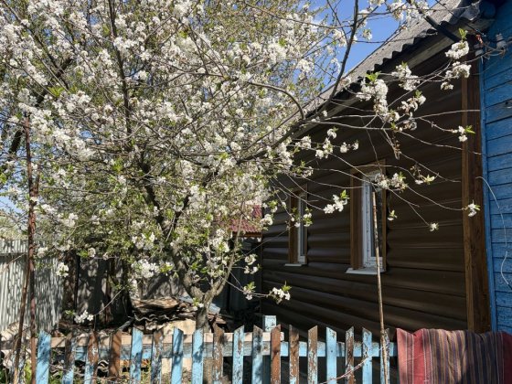 Компактний будинок  з гарною земельною ділянкою на Добровільній