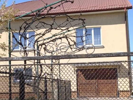 Приватний,  житловий будинок Городок