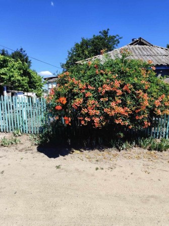 Продам дім село Юріївка - фото 1