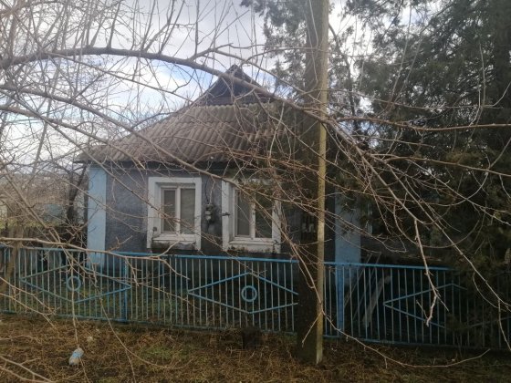 Будинок в Арбузинкі Арбузинка