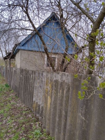 Продам дачу в кооперативі Олдиш - фото 1