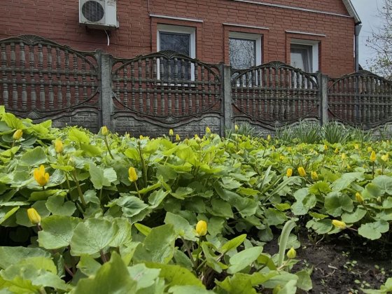 Продаж окремого будинку на Роменській Суми